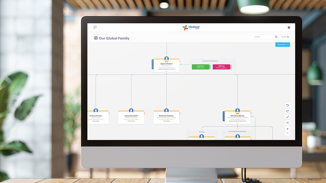 Mederer Global Organisation Dashboard 04